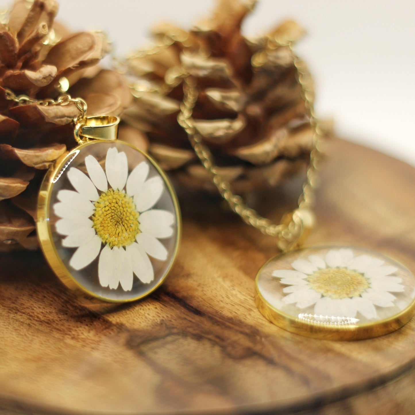 Sanctuary Daisy Necklace